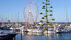A marina with boats docked, a large Ferris wheel, and a tall plant with green fruits.