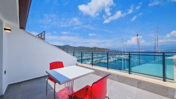 奢華開放式客房 | 露台/庭院