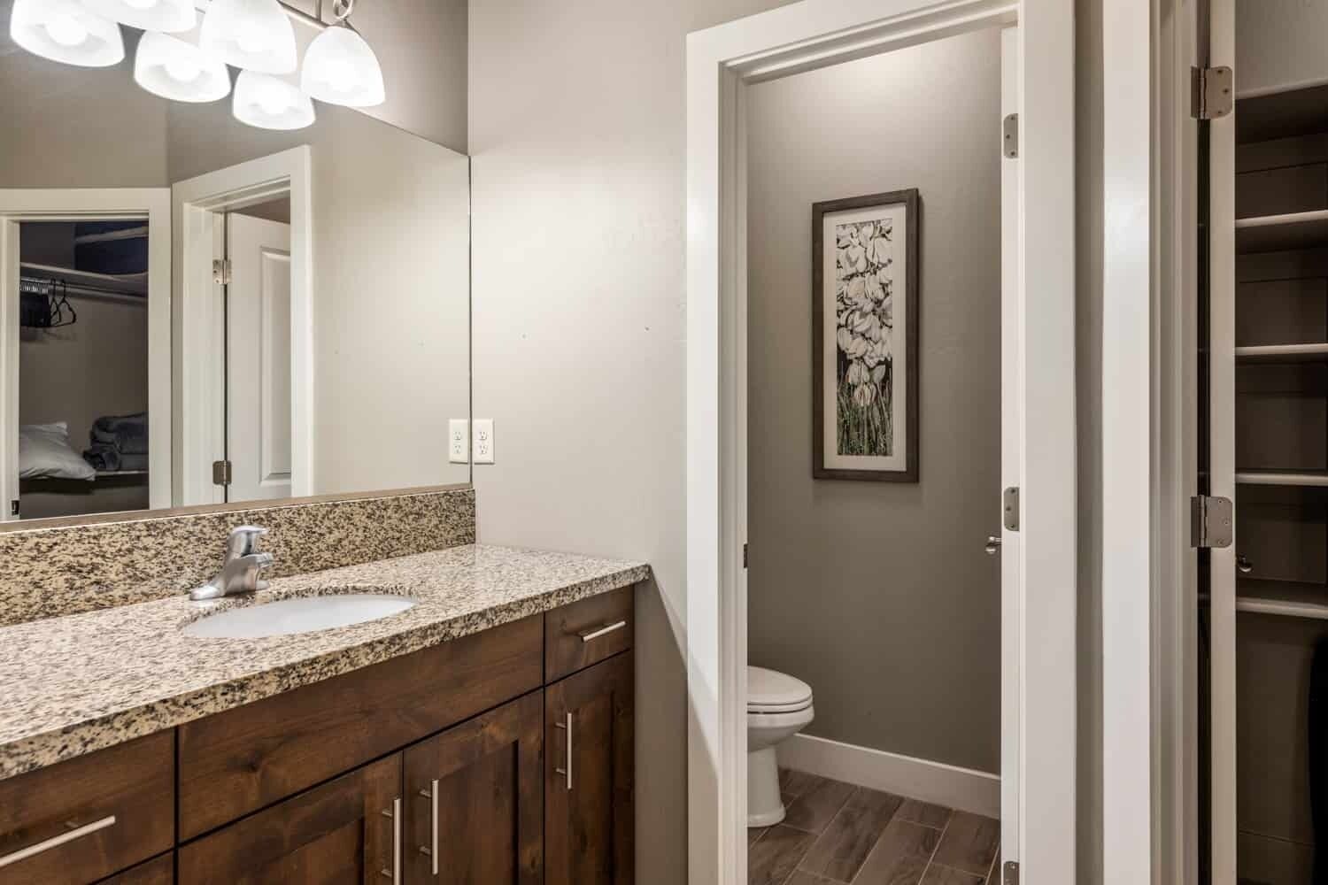 A bathroom with a granite countertop sink, wooden cabinets, a mirror, a framed artwork on the wall, and a toilet.