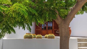 Ein Kaktusgarten mit Baum und Gebäude mit Holzhörnern.