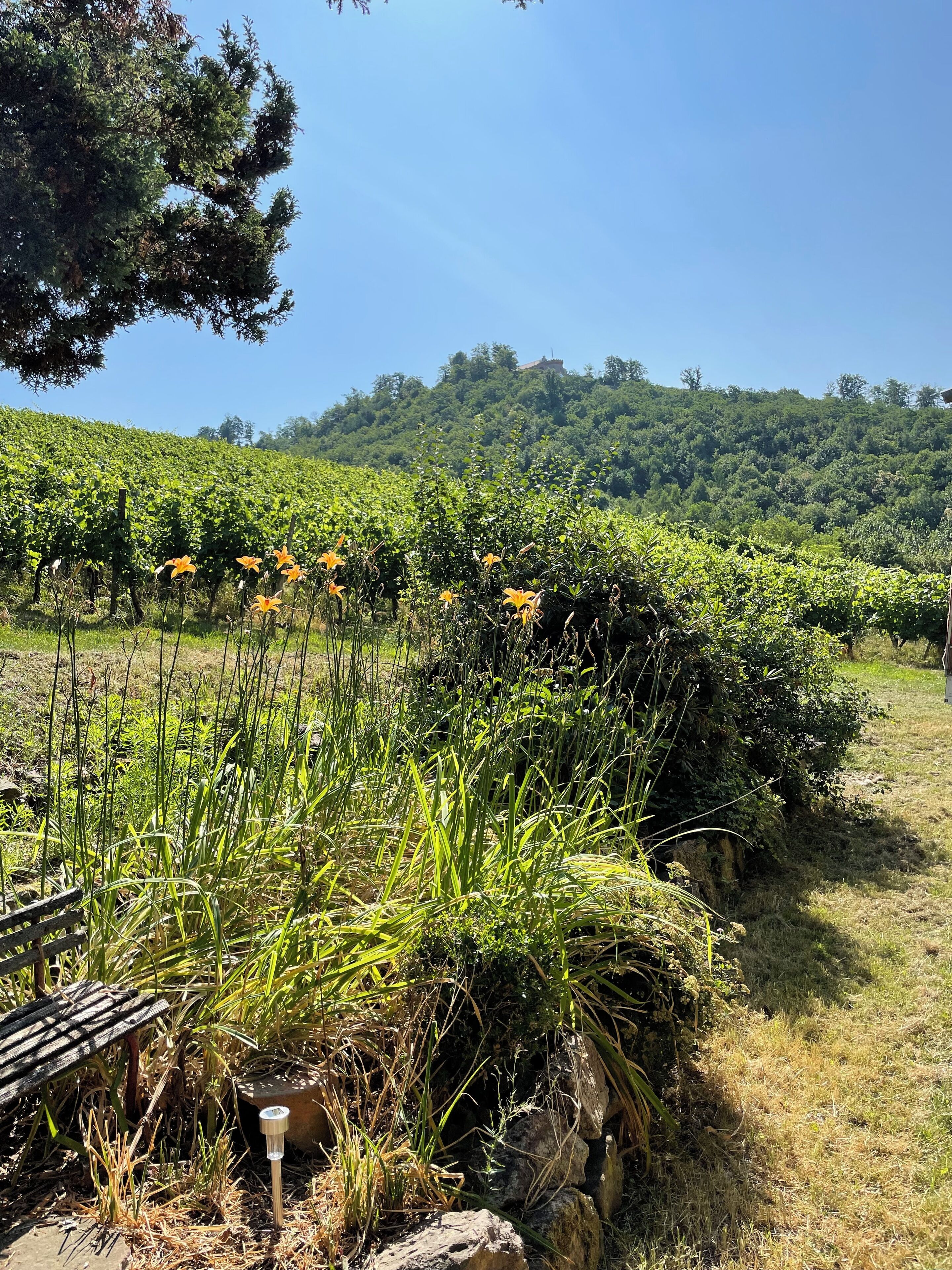 Overnatningsstedets område