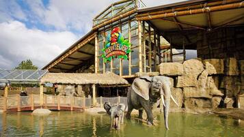 A zoo enclosure with an elephant and a baby elephant, a thatched-roof structure, and a large sign with a bird and text.