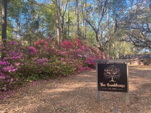 Un letrero que dice 'The Bungalow' con un logotipo de árbol, rodeado de arbustos florecientes de color rosa.