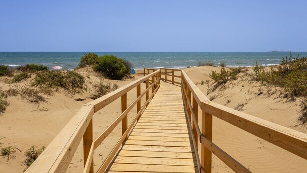 Strand