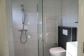Regadera, secadora de cabello, toallas, papel de baño