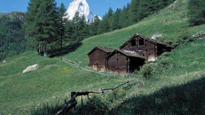 Une cabane en bois rustique, située sur une colline, avec une montagne en arrière-plan.