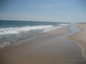 Beach - Steps to the beach! Relax and Enjoy! (Amagansett)