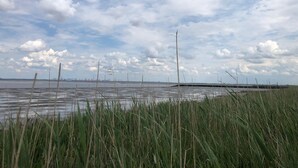 Nær stranden og solsenger