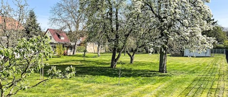 A well-maintained grassy area with trees, a clear sky, and a building with a red roof in the background.