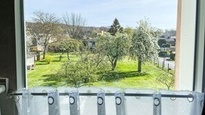 Uitzicht vanuit een raam op een groen park en bomen.
