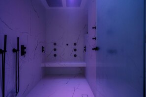 Shower, hydromassage showerhead, free toiletries, hair dryer