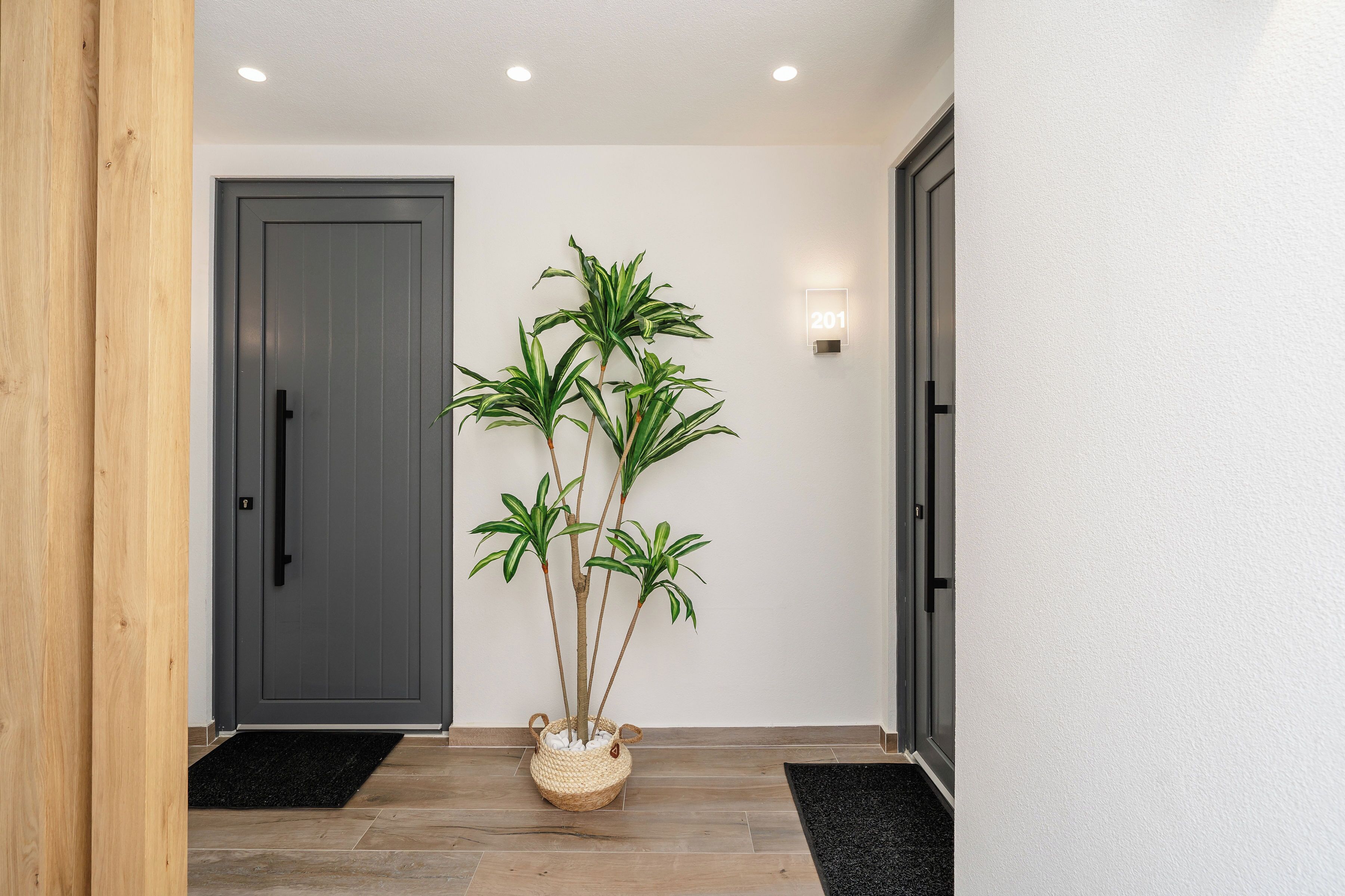 A hallway with a gray door, a potted plant, and a black doormat.
