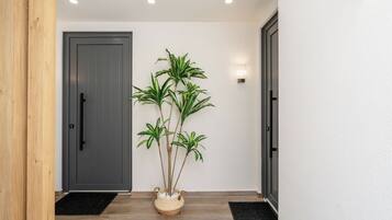 A hallway with a gray door, a potted plant, and a black doormat.