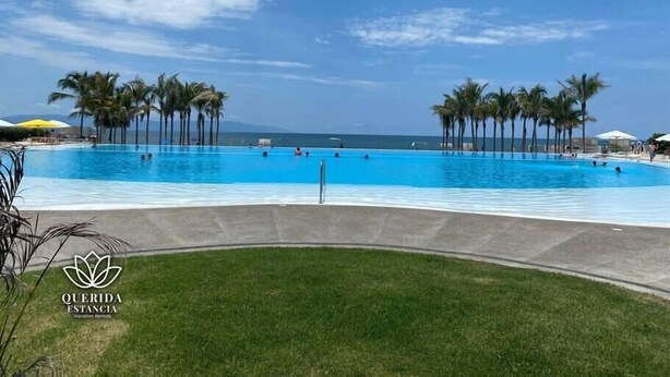 Una amplia piscina al aire libre con palmeras y sombrillas, rodeada de césped y un cielo azul despejado.