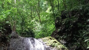 A waterfall cascading over a rocky cliff surrounded by dense green foliage. - Cabaña el Ermitaño  (Jacó)
