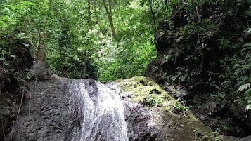 小屋 | 露台/庭院