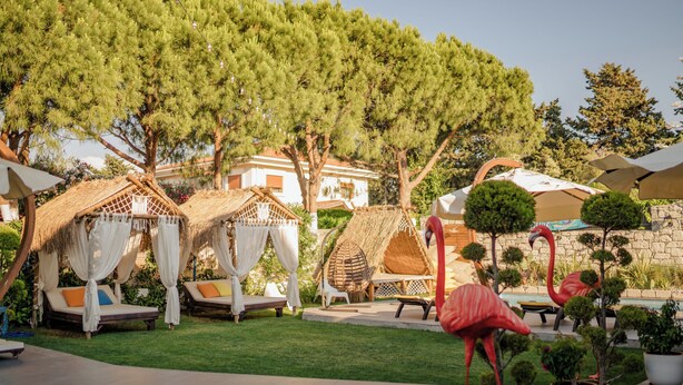 A resort with thatched-roof cabanas, lounge chairs, and a pool area.