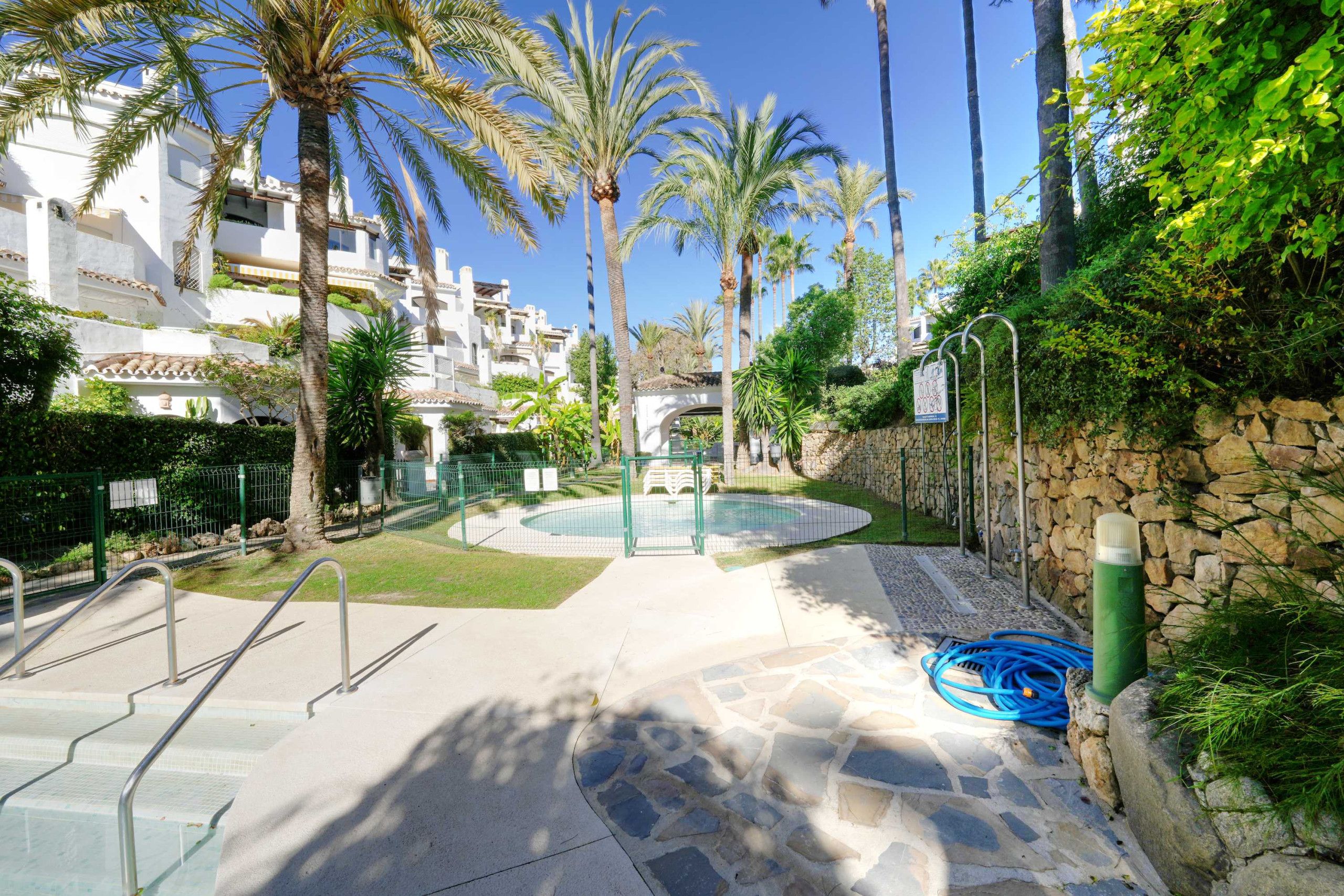 A pool area with steps leading to a circular pool, surrounded by palm trees and a stone wall.