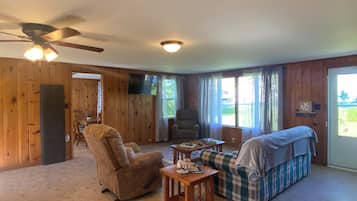 TV connectée, cheminée, livres