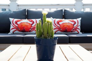 Un espace de détente aménagé sur le toit, avec un vase bleu contenant un cactus, deux coussins ornés d’un motif de crabe et une rambarde blanche en arrière-plan.