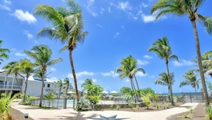 Een resort met palmbomen, een zwembad en een ster-vormig pad.