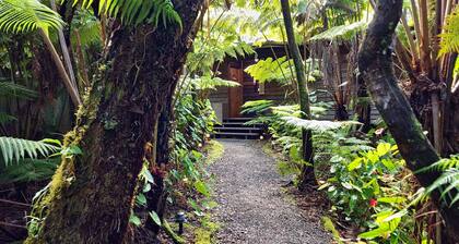 The Pacifica Inn The Nene Room