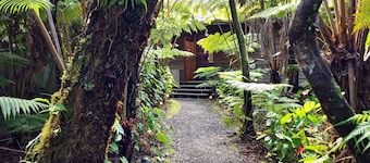 The Pacifica Inn The Nene Room