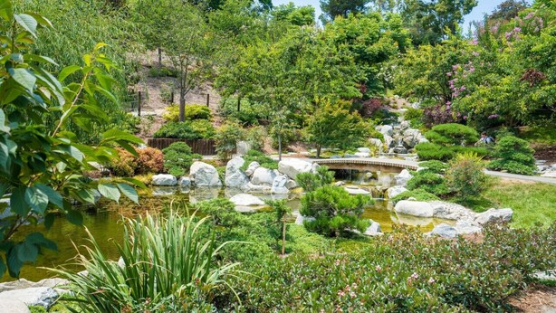 Ein friedlicher Garten mit Teich, Steinen und verschiedenen Pflanzen.