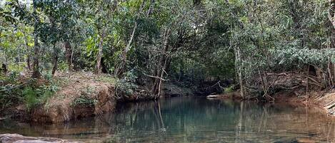 Terrein van de accommodatie
