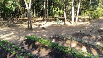 Área da propriedade