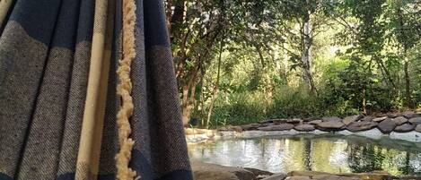 المنطقة المحيطة بالمنشأة