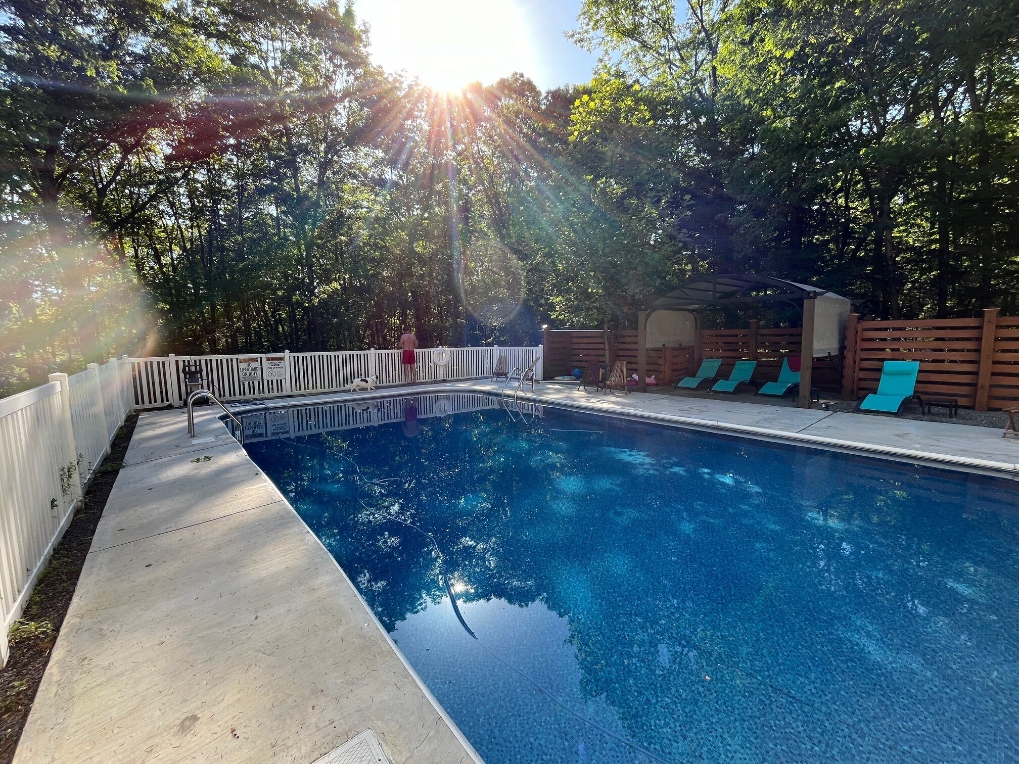 Salt water and heated pool in a charming house, dogs are welcome