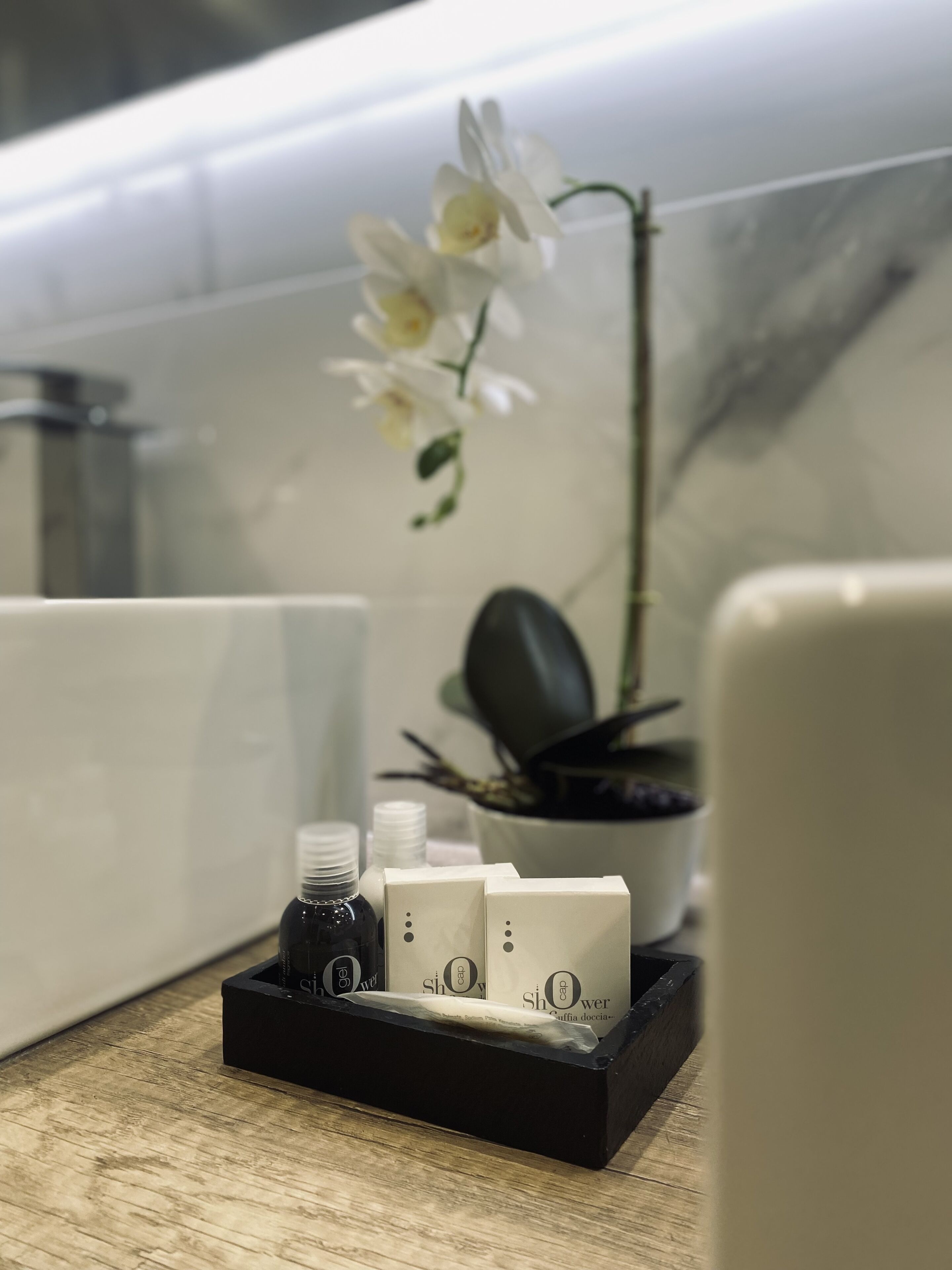 Una encimera de baño con una bandeja negra que contiene una botella, un dispensador de jabón y una caja. Detrás de la encimera, hay una planta en maceta y una orquídea blanca.