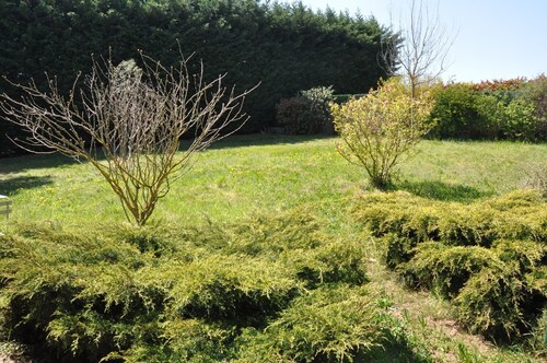 Gîte du Bistinclin Fruité