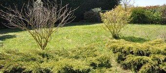 Gîte du Bistinclin Fruité