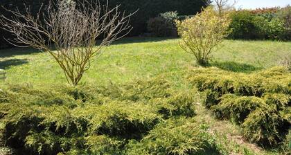 Gßte du Bistinclin Fruité