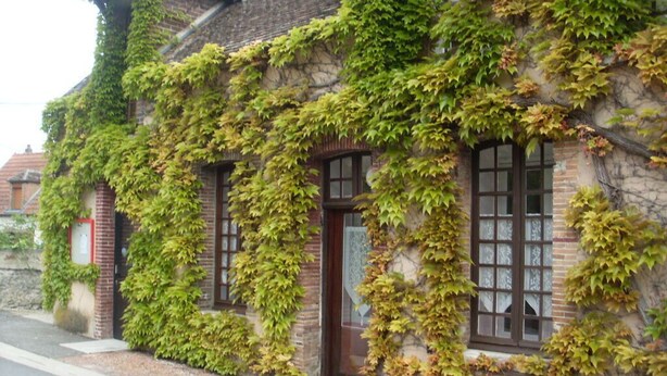 A historic building with ivy-covered brick walls and large windows.
