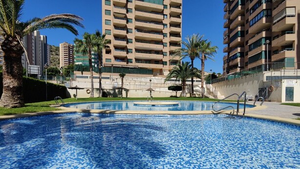 A swimming pool with tiled flooring, surrounded by palm trees and a multi-story building in the background.