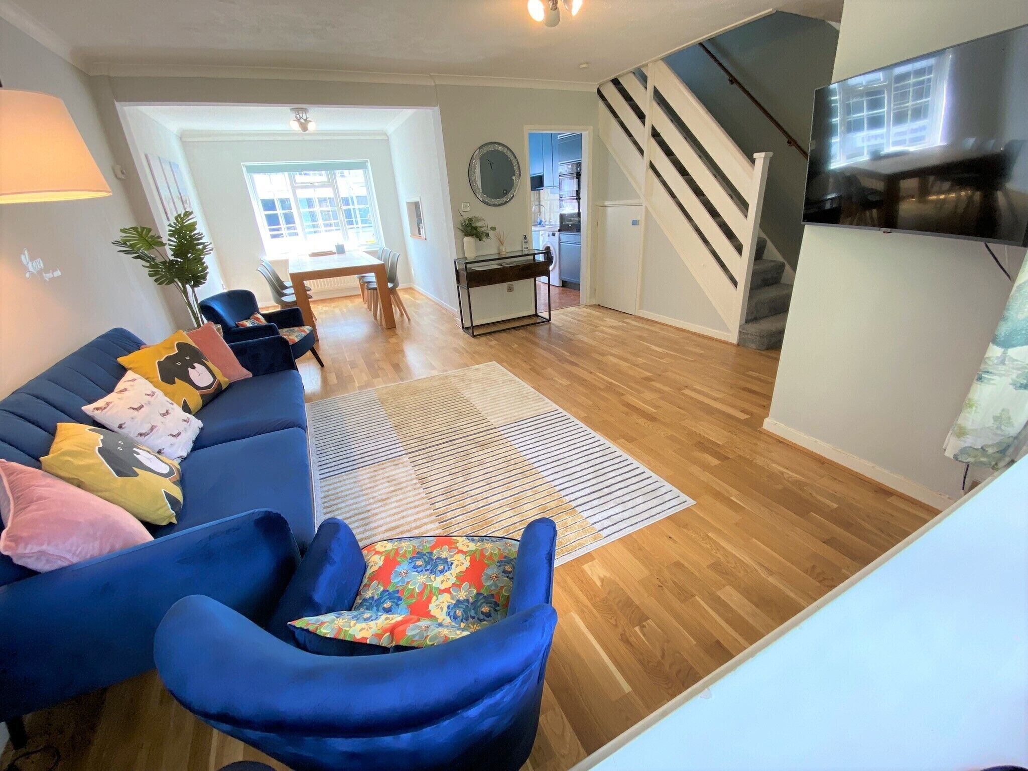 Flat-screen TV