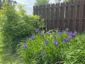 Property grounds - Sunset Shores #1-Garden Harvest Colors and Lakeside Calm (Clare)