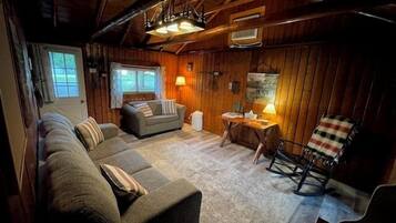 TV, fireplace, books