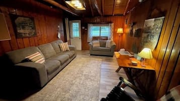 TV, fireplace, books