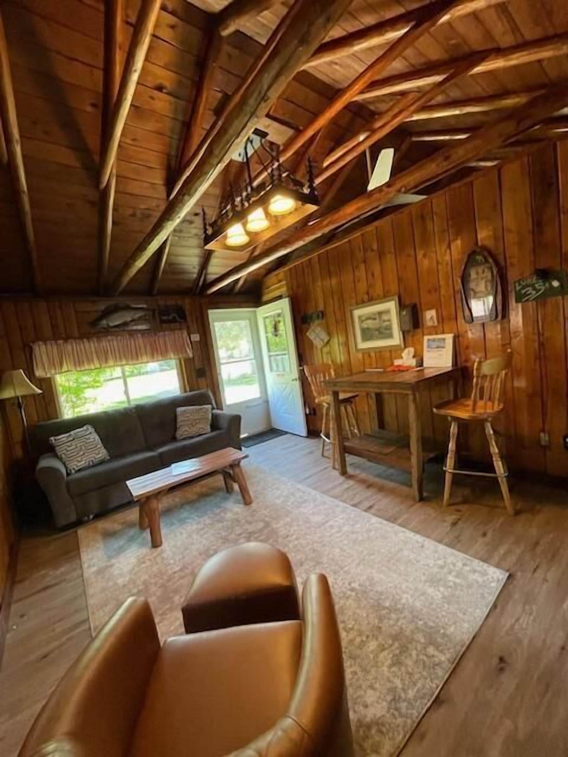 TV, fireplace, books