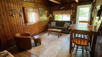 Televisión, chimenea, libros