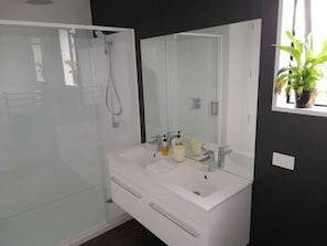 Bathroom features a glass-enclosed shower, dual sink, and a large mirror above a vanity with a shelf for toiletries.