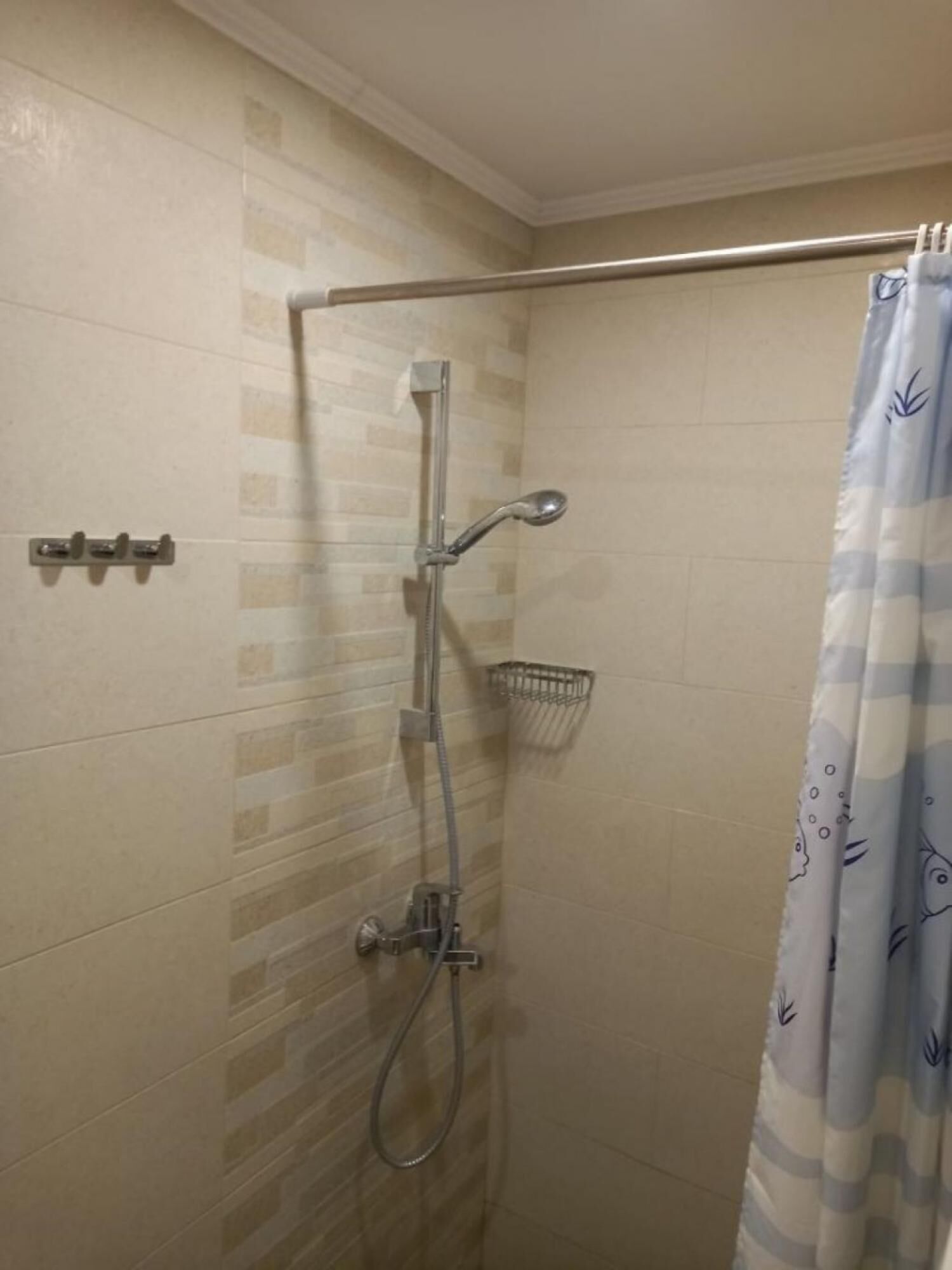 1 habitación 