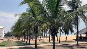A pathway lined with palm trees leading to a beach.