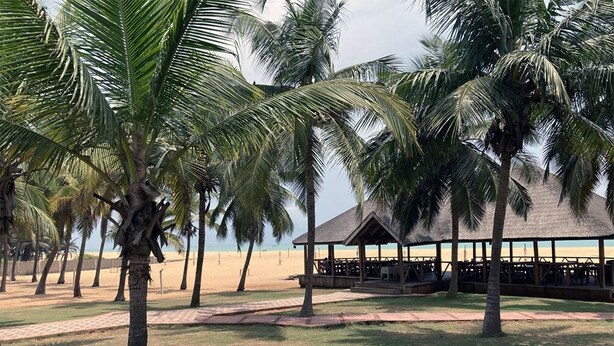 A beachside area with palm trees, a covered seating area, and a pathway leading to the beach.