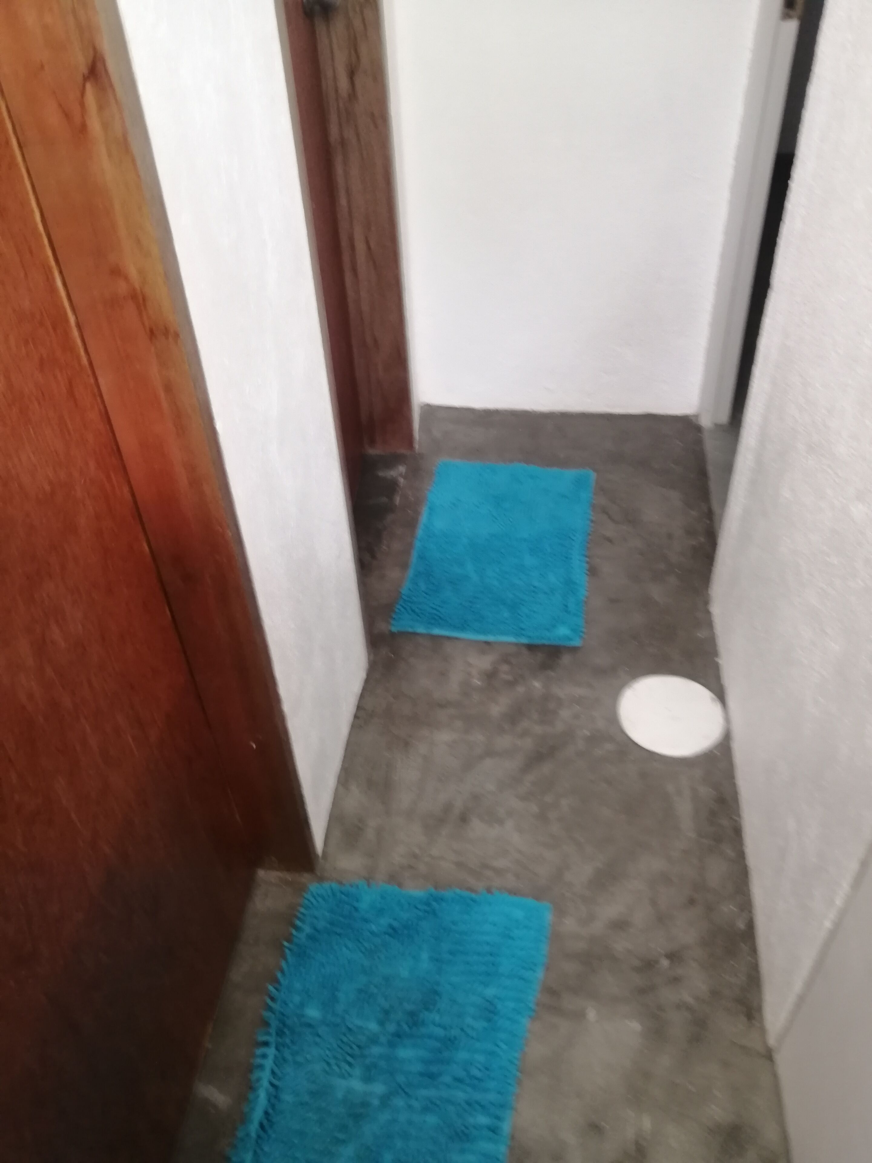 A narrow hallway with a wooden door on the left and a white wall on the right. Two blue mats are placed on the floor, and a white circular object is visible in the center.