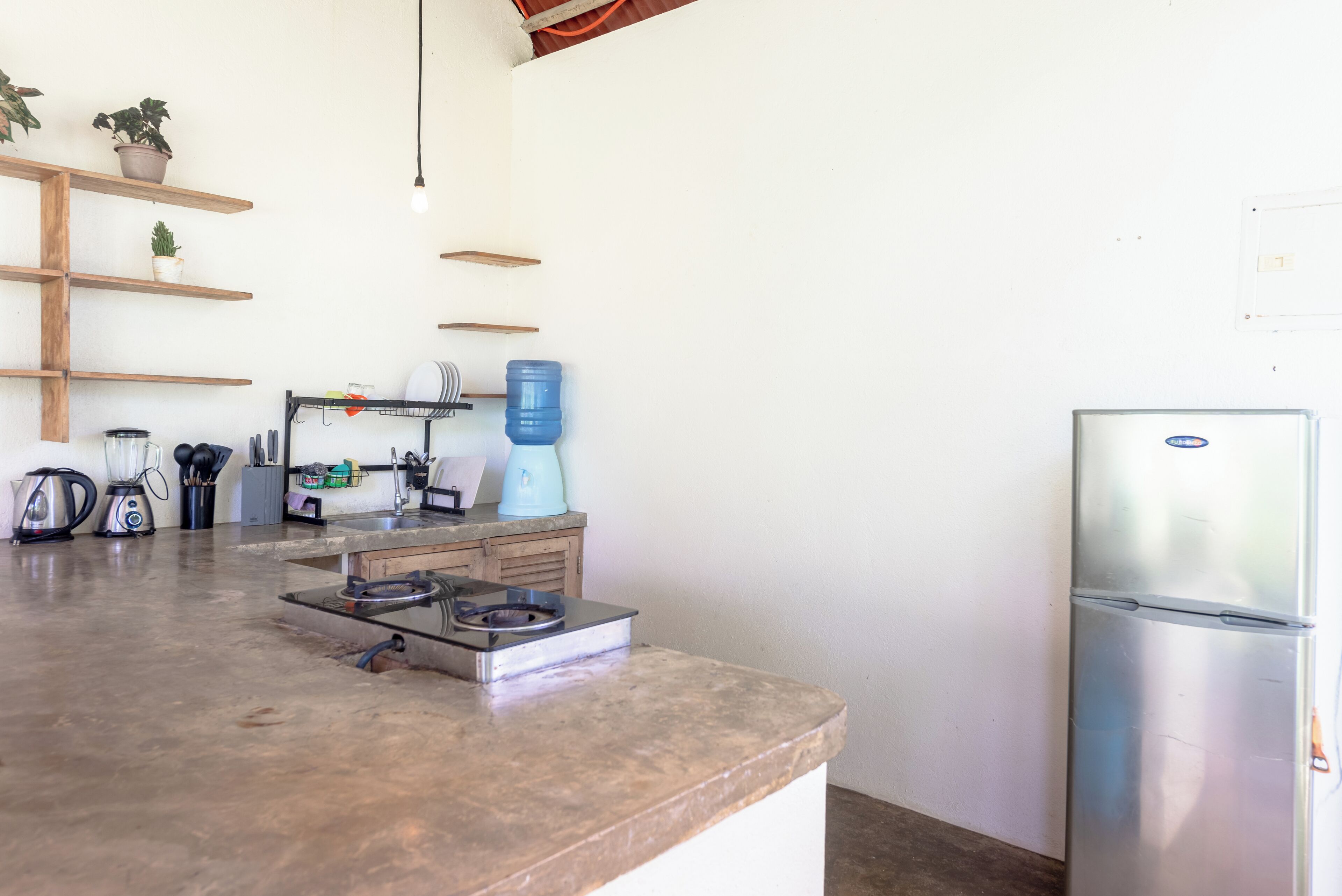 A kitchen with a stainless steel refrigerator, a gas stove, and wooden shelves with potted plants.